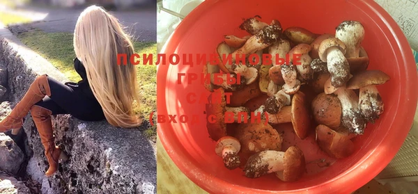 прущая мука Медвежьегорск