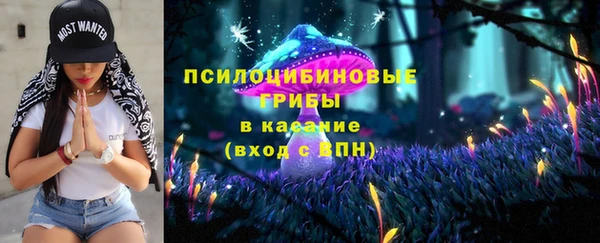 2c-b Себеж