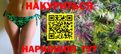 хмурый Кингисепп