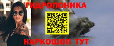 хмурый Кингисепп