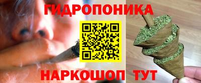 стафф Берёзовский