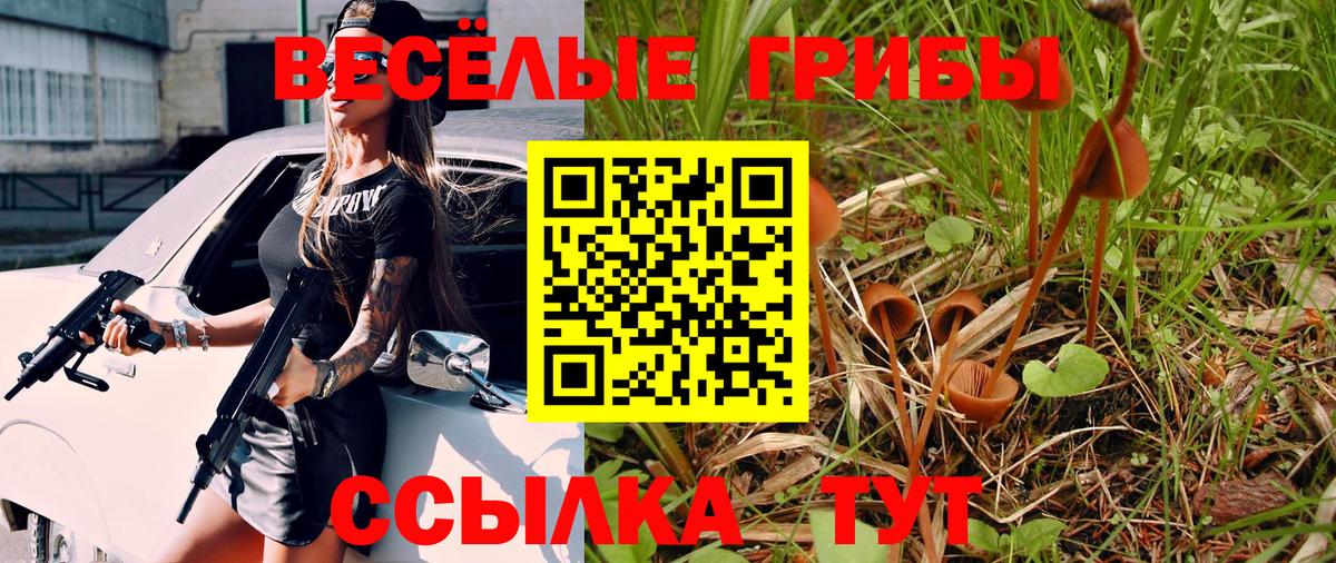 Псилоцибиновые грибы MAGIC MUSHROOMS Барабинск